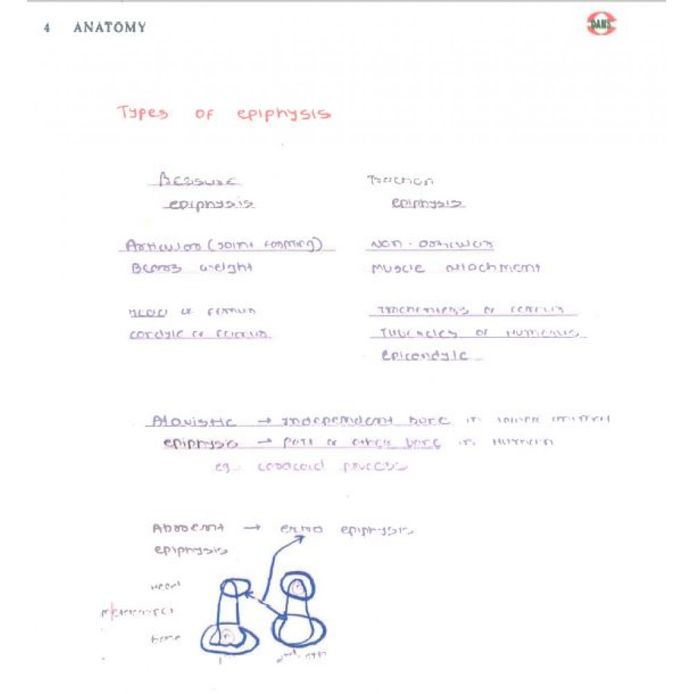 Anatomy DAMS PG-Hand Written (colored) Notes: 2022-23