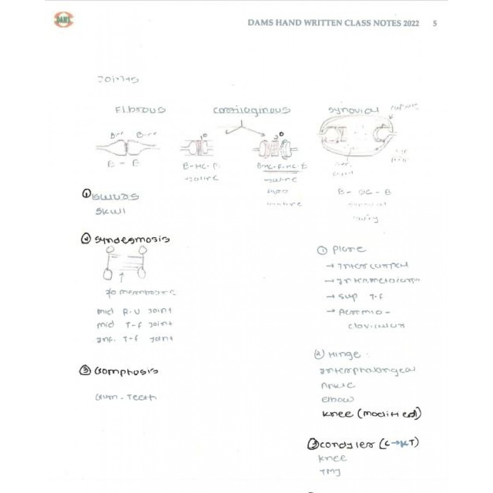 Anatomy DAMS PG-Hand Written (colored) Notes: 2022-23