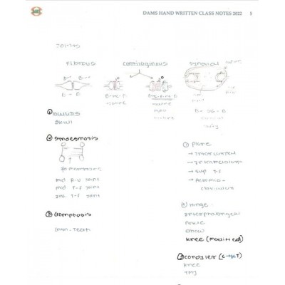 Anatomy DAMS PG-Hand Written (colored) Notes: 2022-23