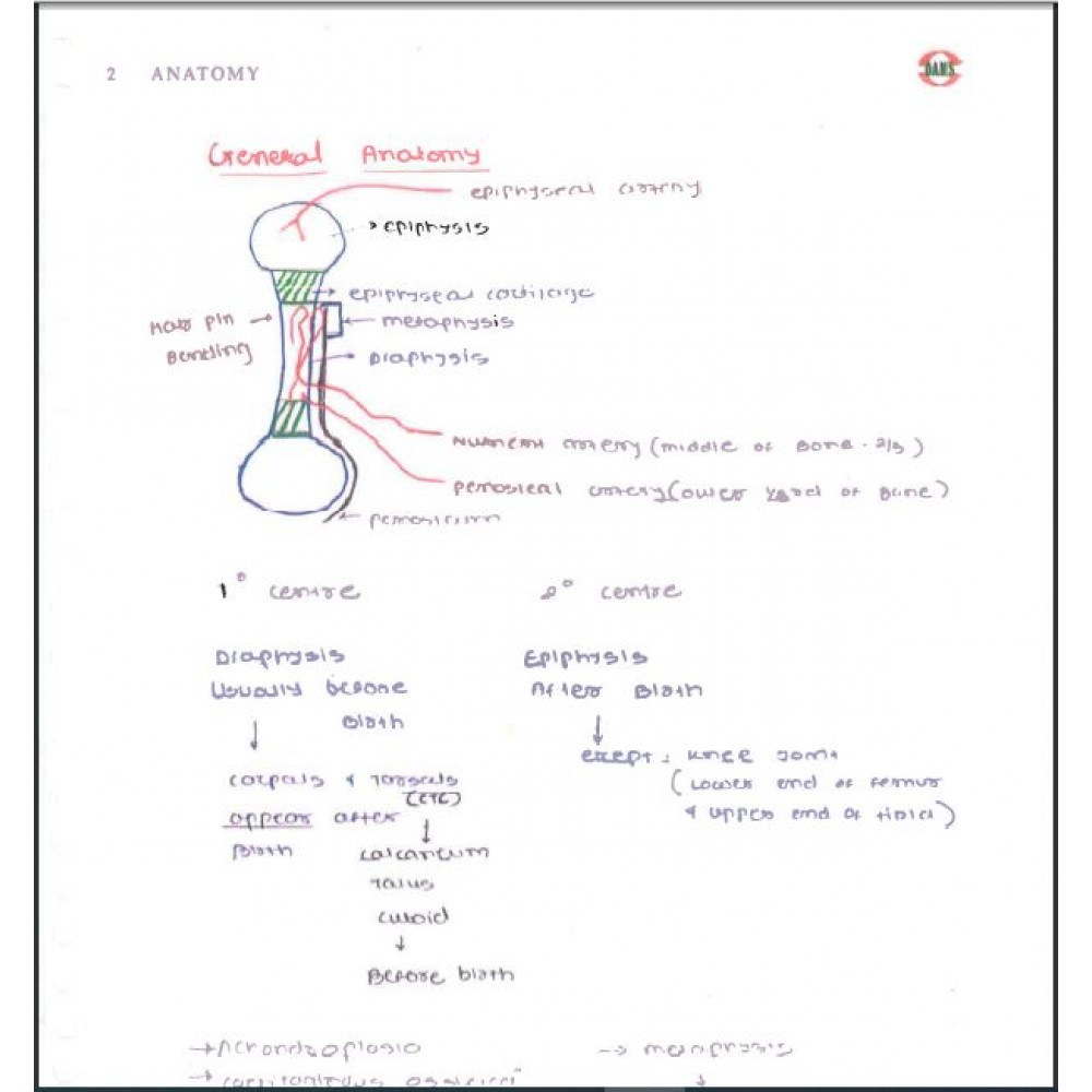 Anatomy DAMS PG-Hand Written (colored) Notes: 2022-23