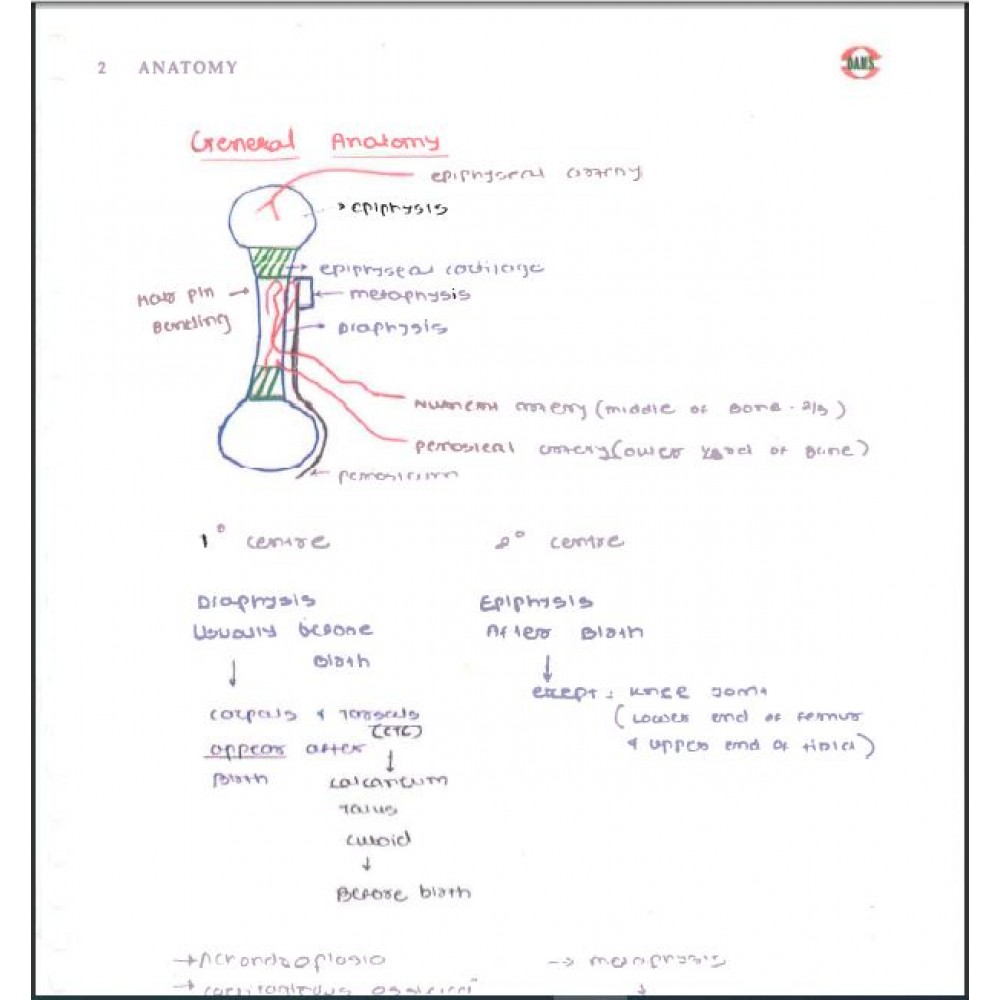 Anatomy DAMS PG-Hand Written (colored) Notes: 2022-23