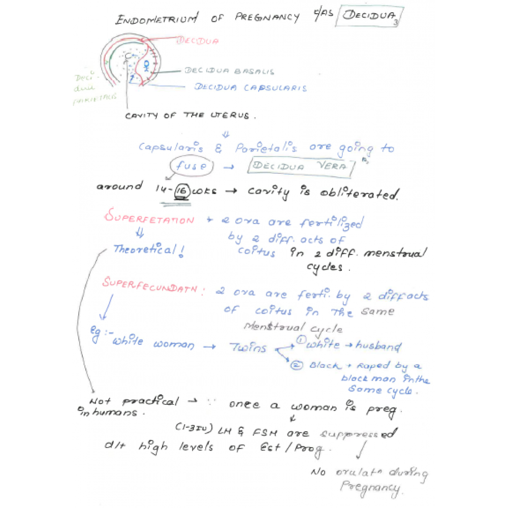 Obstetrics & Gynecology DAMS PG-Hand Written (Colored) Notes 2022-23