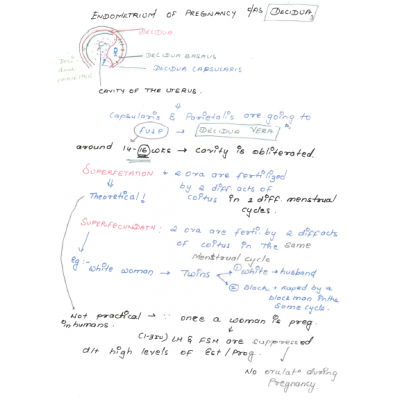 Obstetrics & Gynecology DAMS PG-Hand Written (Colored) Notes 2022-23