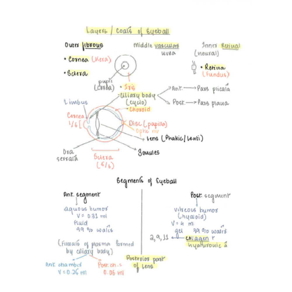 Ophthalmology Dams PG Hand Written (Colored ) Notes 2022-23