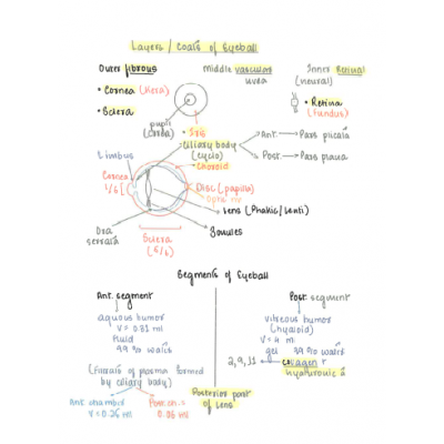 Ophthalmology Dams PG Hand Written (Colored ) Notes 2022-23