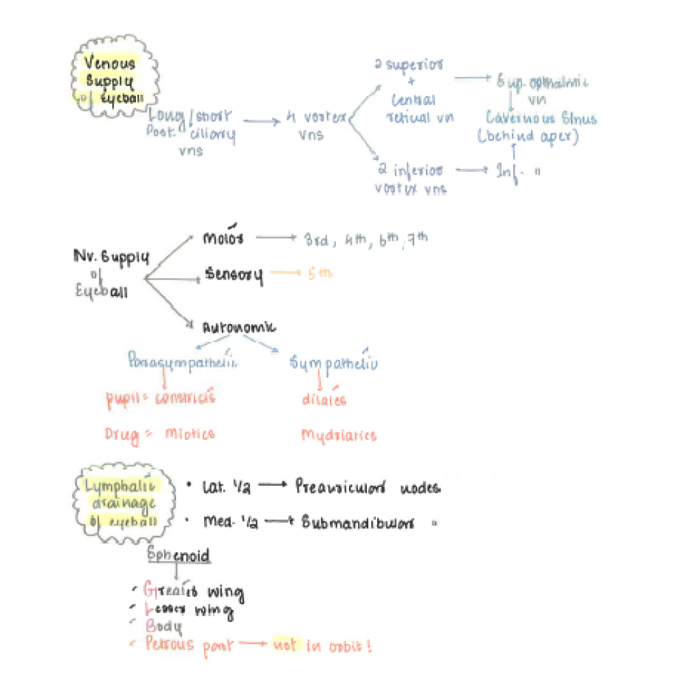 Ophthalmology Dams PG Hand Written (Colored ) Notes 2022-23