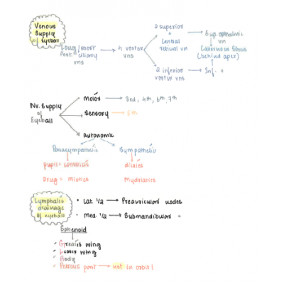 Ophthalmology Dams PG Hand Written (Colored ) Notes 2022-23