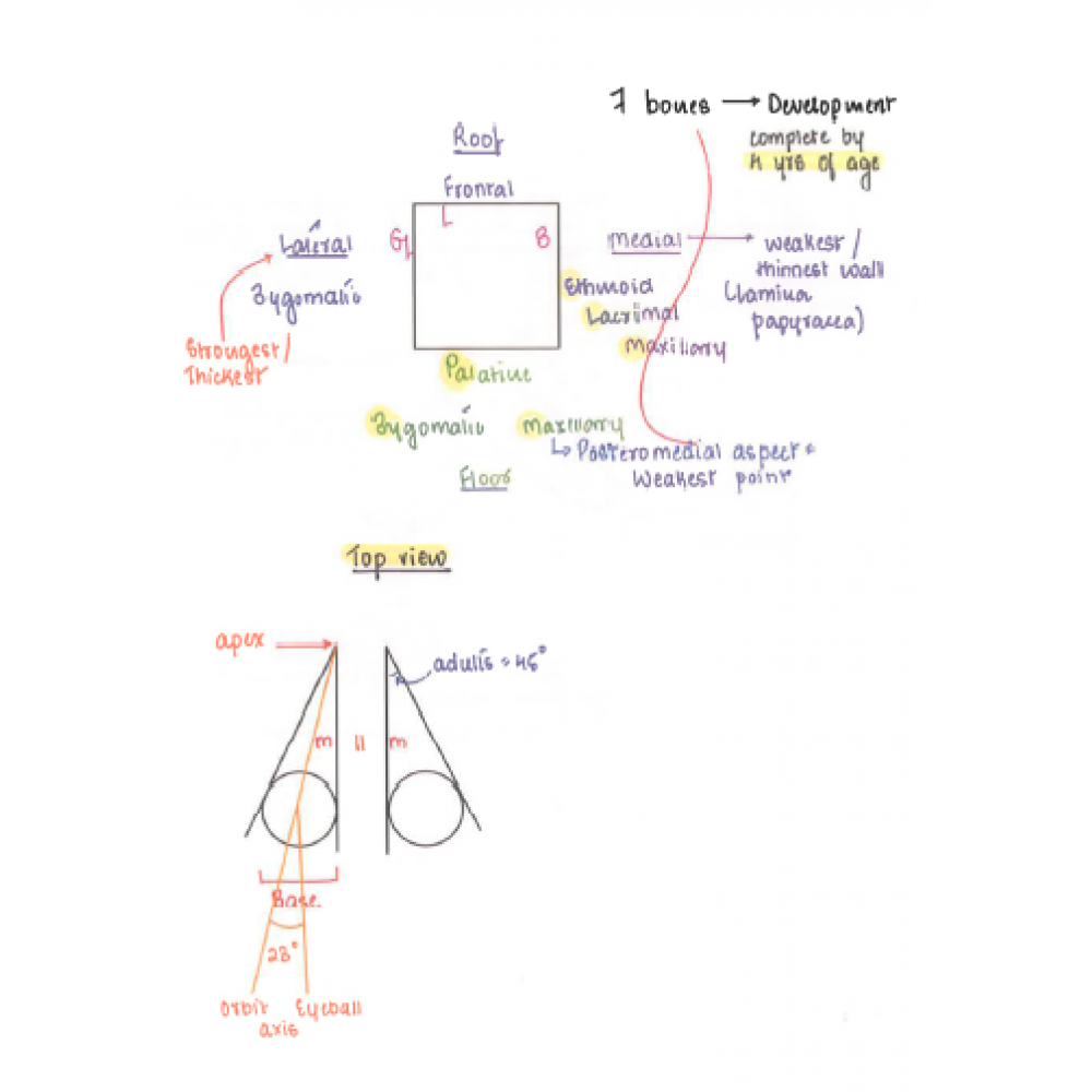 Ophthalmology Dams PG Hand Written (Colored ) Notes 2022-23