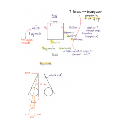 Ophthalmology Dams PG Hand Written (Colored ) Notes 2022-23