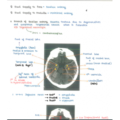 Radiology DAMS PG-Hand Written (Colored ) Notes 2022-23