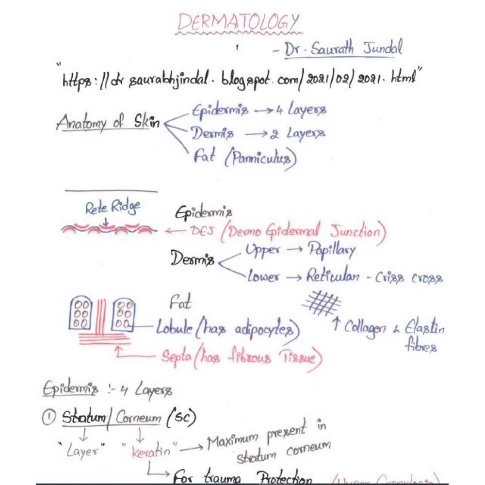 Dermatology DAMS PG-Hand Written (Colored ) Notes 2022-23