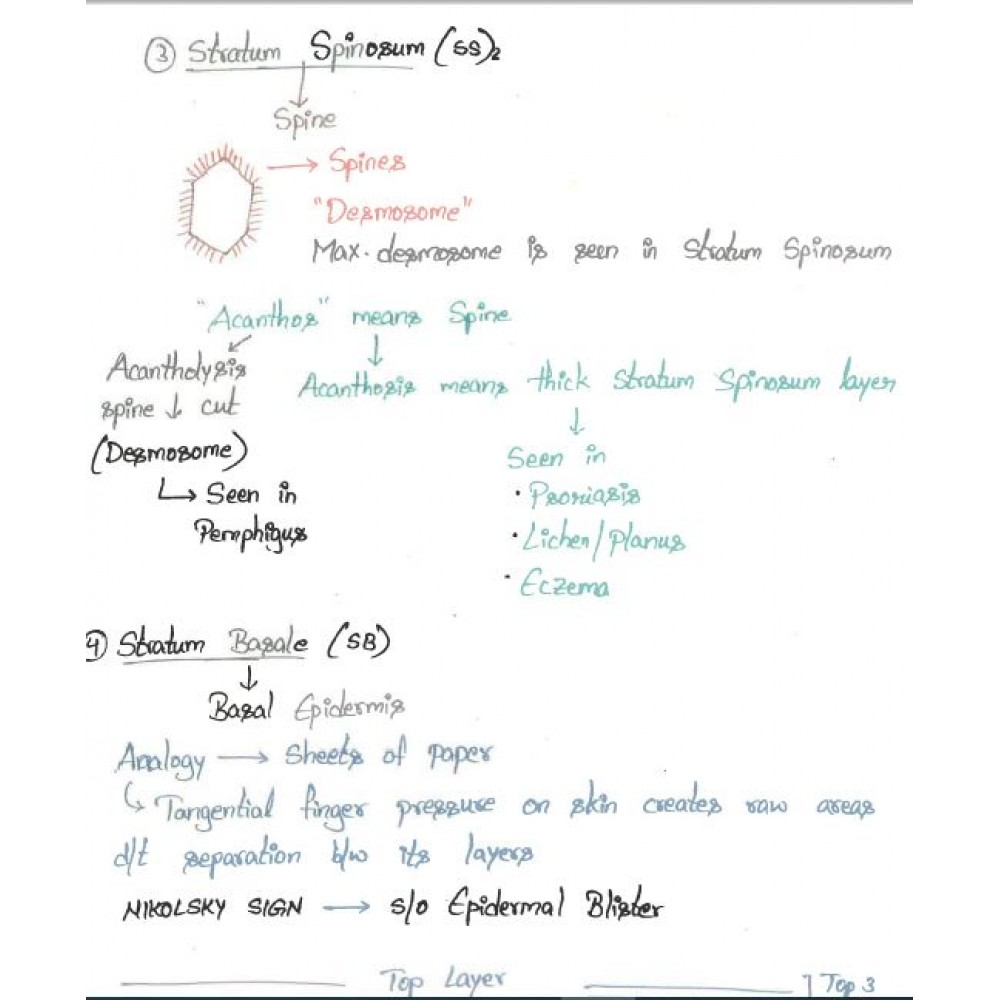 Dermatology DAMS PG-Hand Written (Colored ) Notes 2022-23