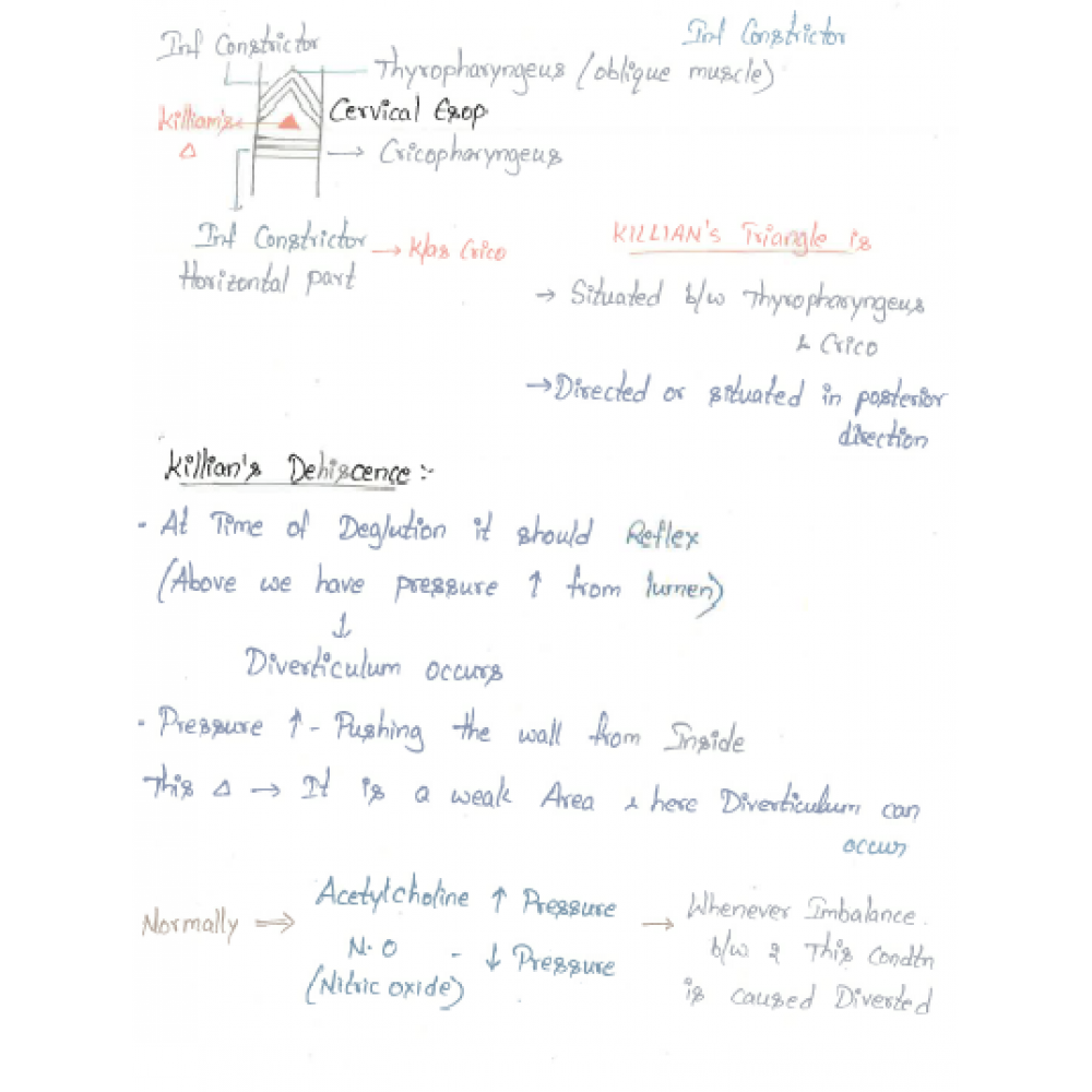 Surgery DAMS PG-Hand Written (Colored ) Notes 2022-23