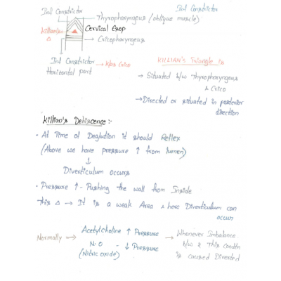 Surgery DAMS PG-Hand Written (Colored ) Notes 2022-23