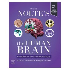Nolte's The Human Brain: An Introduction to its Functional Anatomy;9th Edition 2025 by Todd Vanderah & Douglas J.Gould