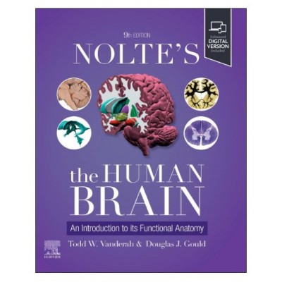 Nolte's The Human Brain: An Introduction to its Functional Anatomy;9th Edition 2025 by Todd Vanderah & Douglas J.Gould