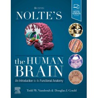 Nolte's The Human Brain: An Introduction to its Functional Anatomy;8th Edition 2021 by Todd Vanderah, Douglas J.Gould