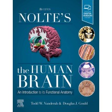 Nolte's The Human Brain: An Introduction to its Functional Anatomy;8th Edition 2021 by Todd Vanderah, Douglas J.Gould