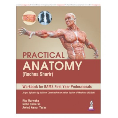 Practical Anatomy (Rachna Sharir) Workbook for BAMS First Year Professionals;1st Edition 2026 by Rita Marwaha, Nisha Bhalerao & Arvind Kumar Yadav
