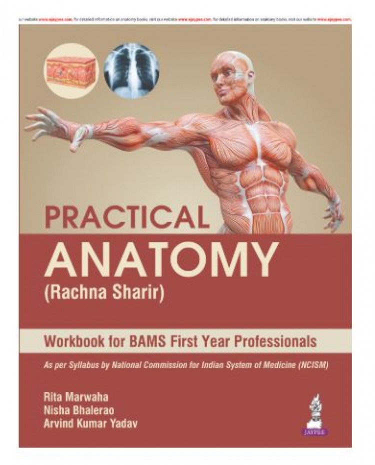 Practical Anatomy (Rachna Sharir) Workbook for BAMS First Year Professionals;1st Edition 2026 by Rita Marwaha, Nisha Bhalerao & Arvind Kumar Yadav