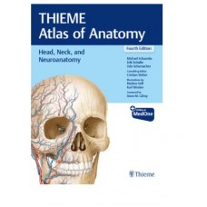 Thieme Atlas of Anatomy: Head, Neck, and Neuroanatomy;4th Edition 2025 by Michael Schuenke, Erik Schulte & Udo Schumacher