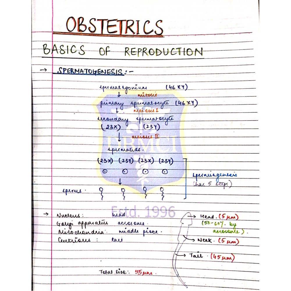 Obstetrics and Gynaecology Bhatia Notes 2019-20
